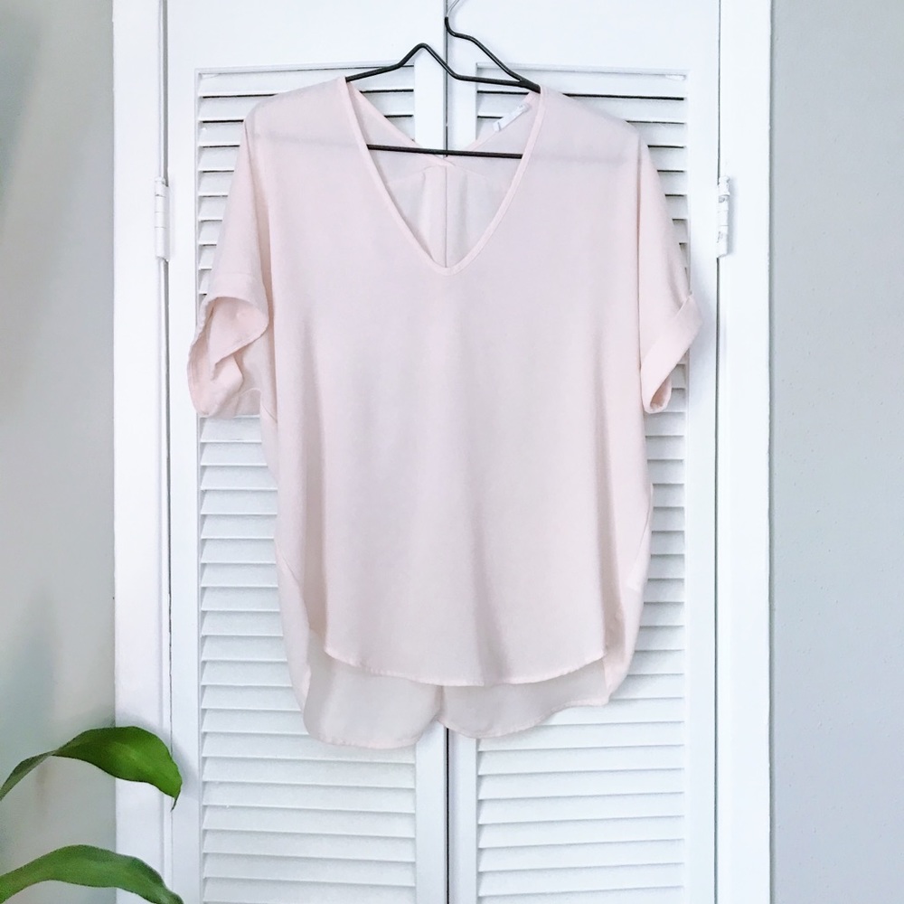 Pale Pink Sheer Blouse Top